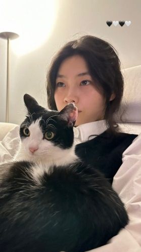 인스타그램 @hoooooyeony