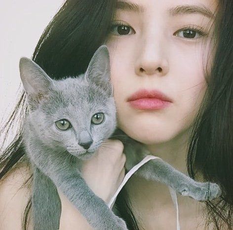 인스타그램 @xeesoxee