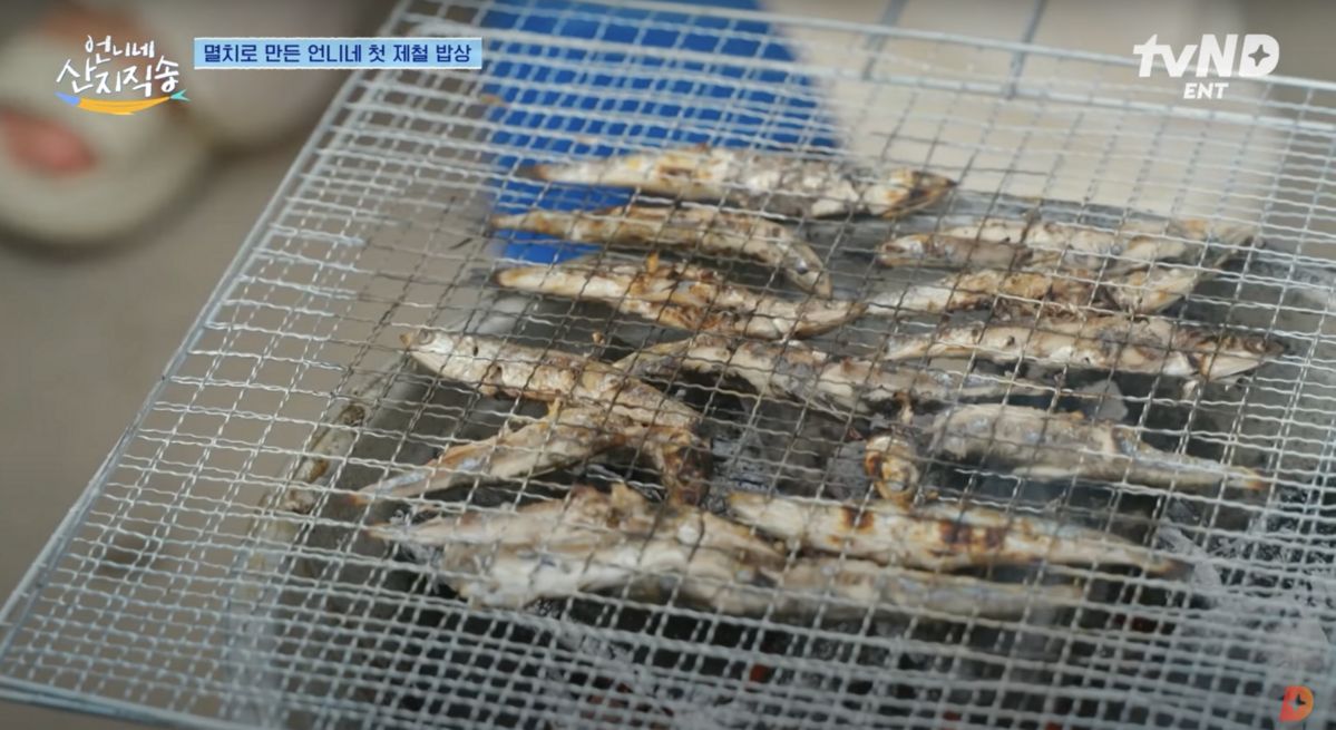 유튜브 <디글 :Diggle>, <tvN D ENT>