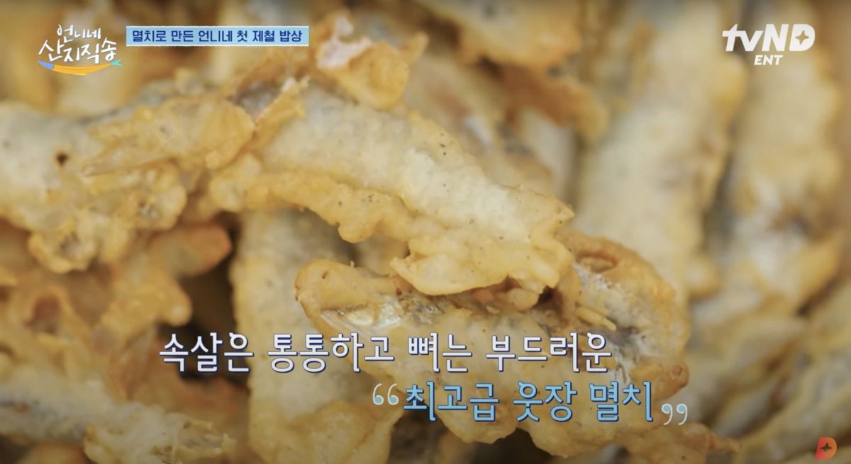 유튜브 <디글 :Diggle>, <tvN D ENT>