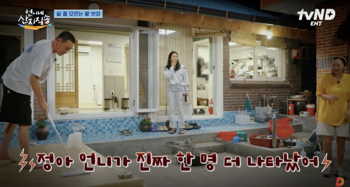 유튜브 <디글 :Diggle>, <tvN D ENT>