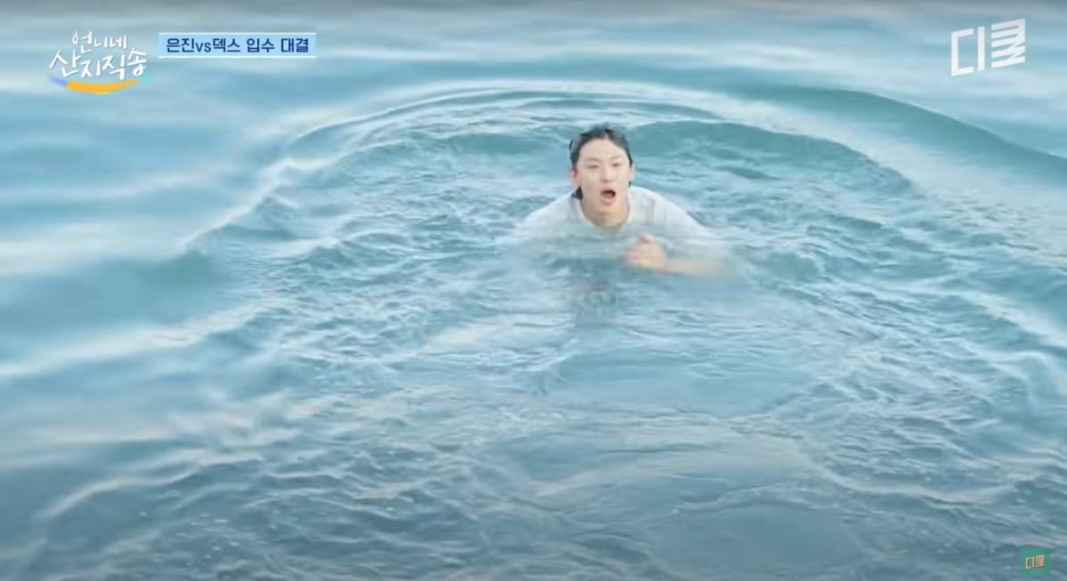 유튜브 <tvN D ENT>