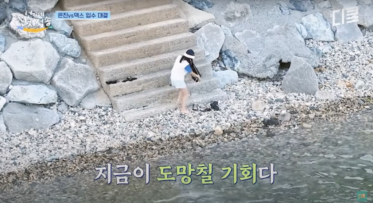 유튜브 <tvN D ENT>