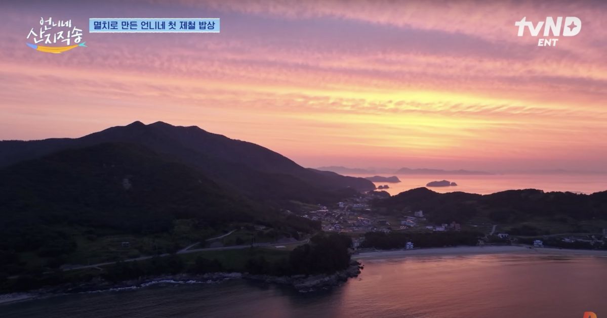 유튜브 <디글 :Diggle>