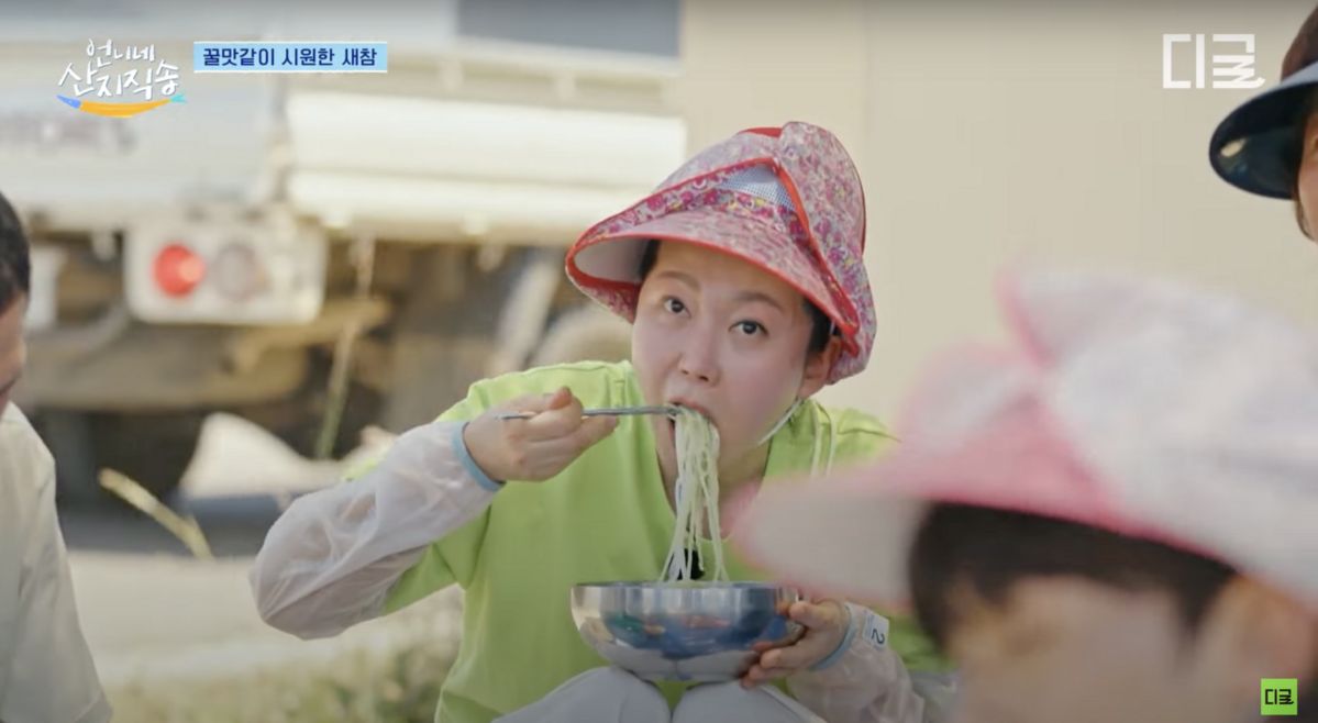 유튜브 <디글 :Diggle>, <tvN D ENT>