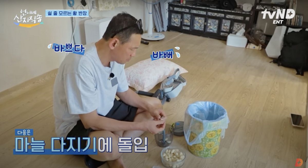 유튜브 <디글 :Diggle>, <tvN D ENT>