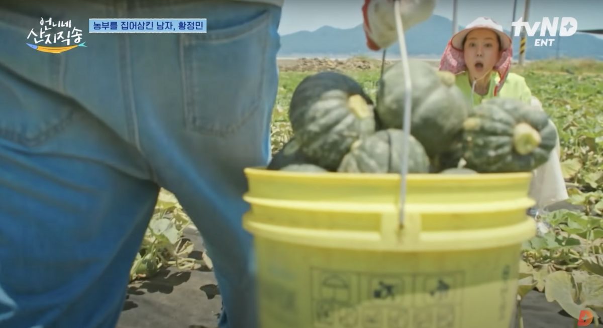 유튜브 <디글 :Diggle>, <tvN D ENT>