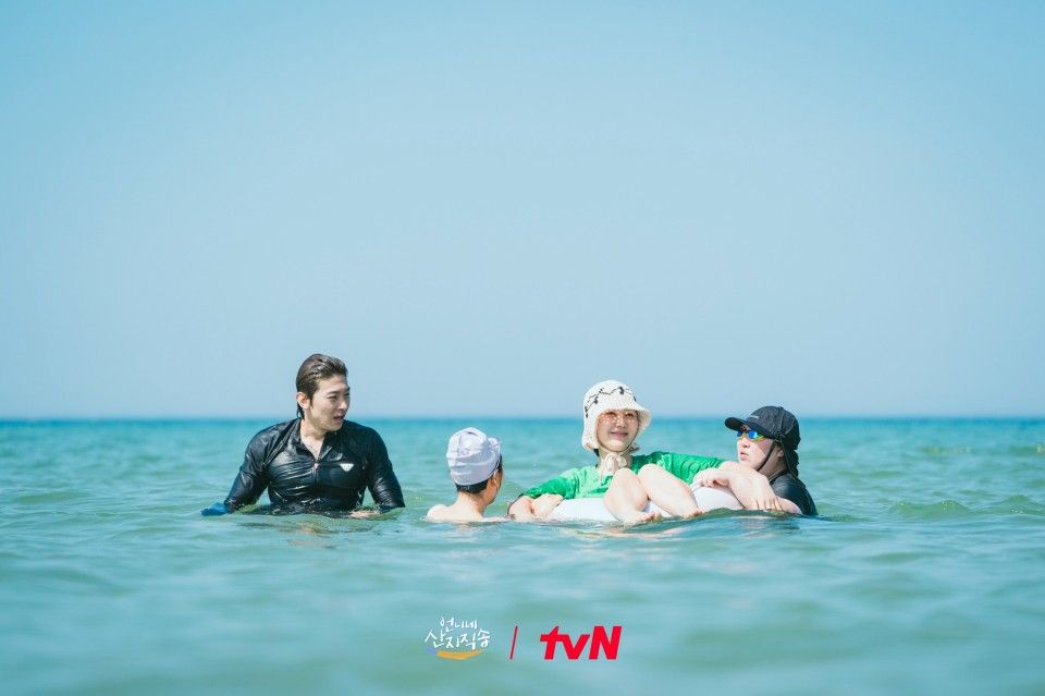 tvN 
