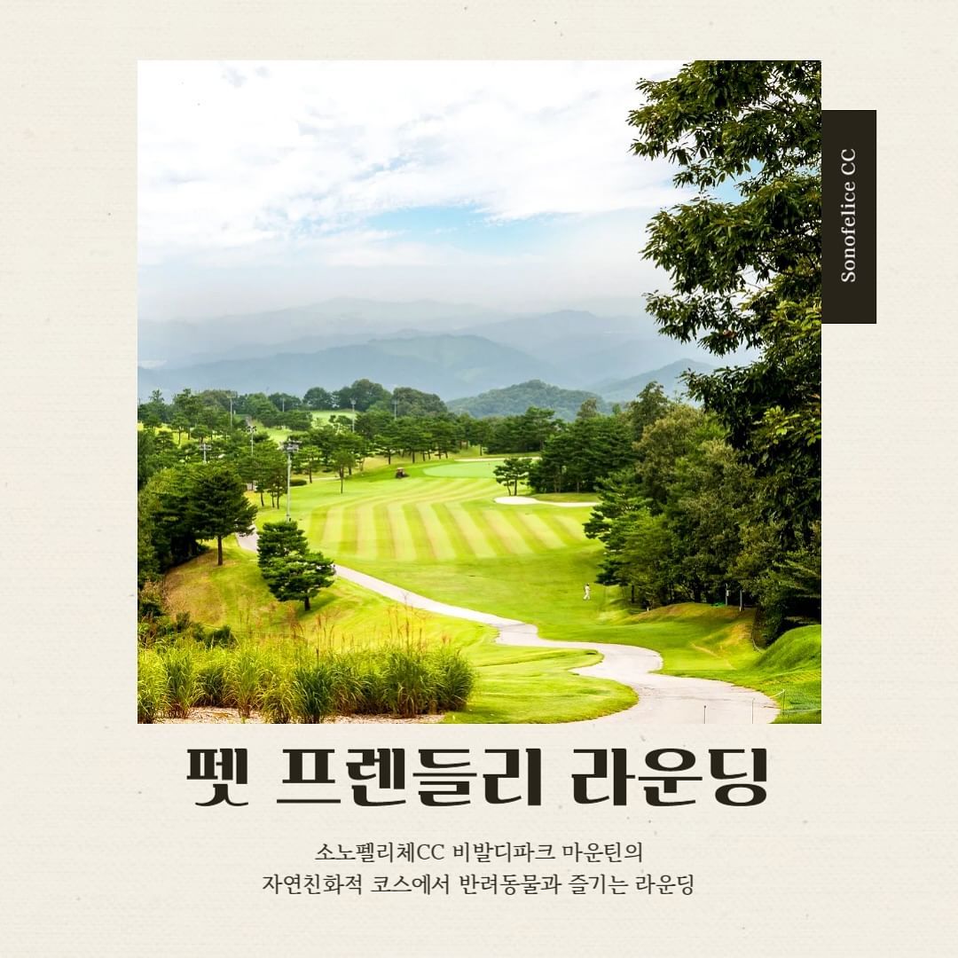 인스타그램 @sonohotels