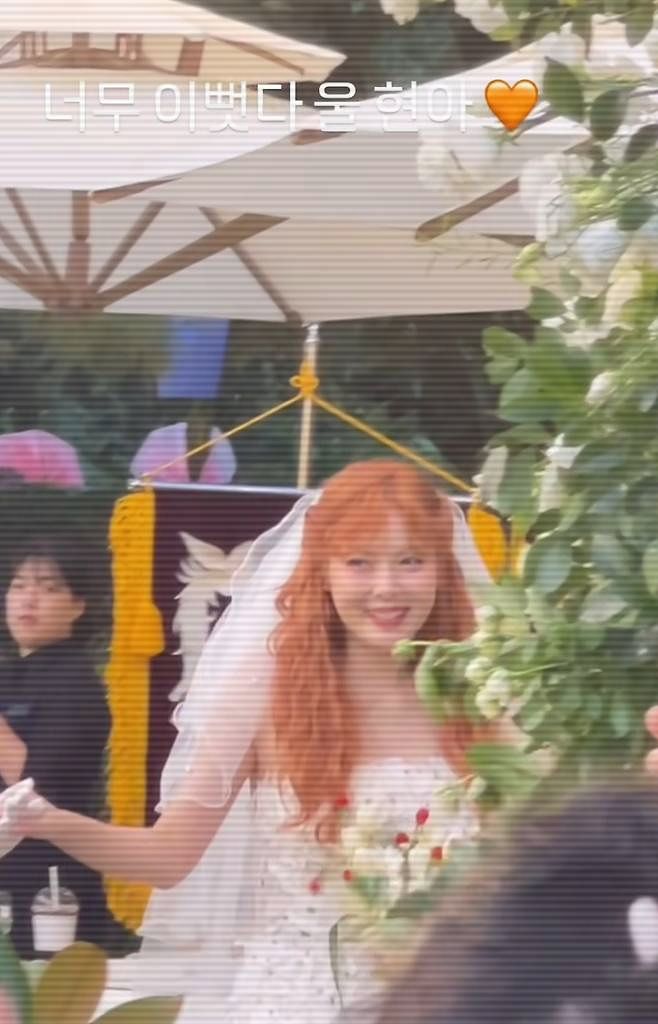 인스타그램 @hatfelt