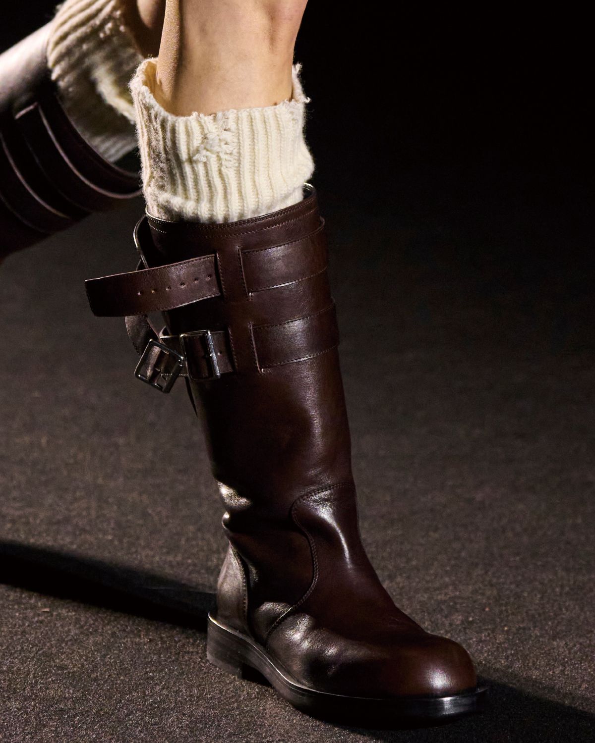 ANN DEMEULE-MEESTER
