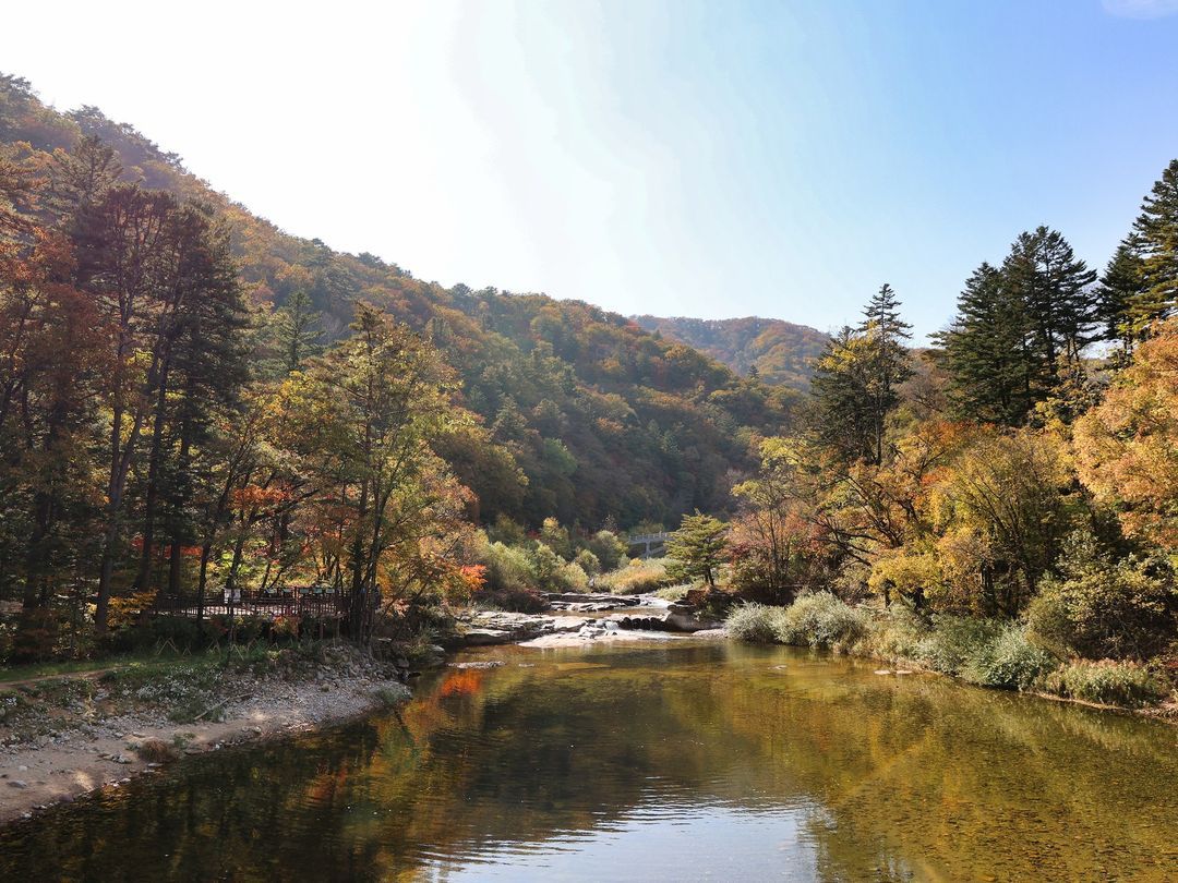 인스타그램 @pyeongchanggun