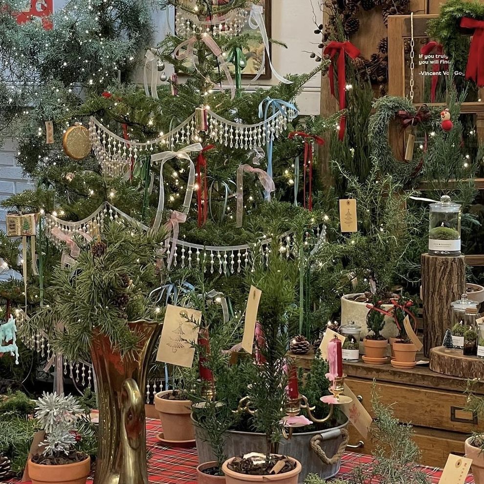 인스타그램 @slow_pharmacy