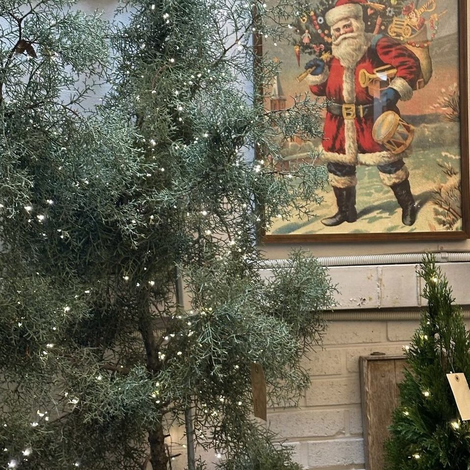 인스타그램 @slow_pharmacy