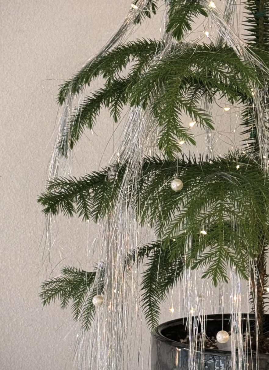 인스타그램 @chorsi__