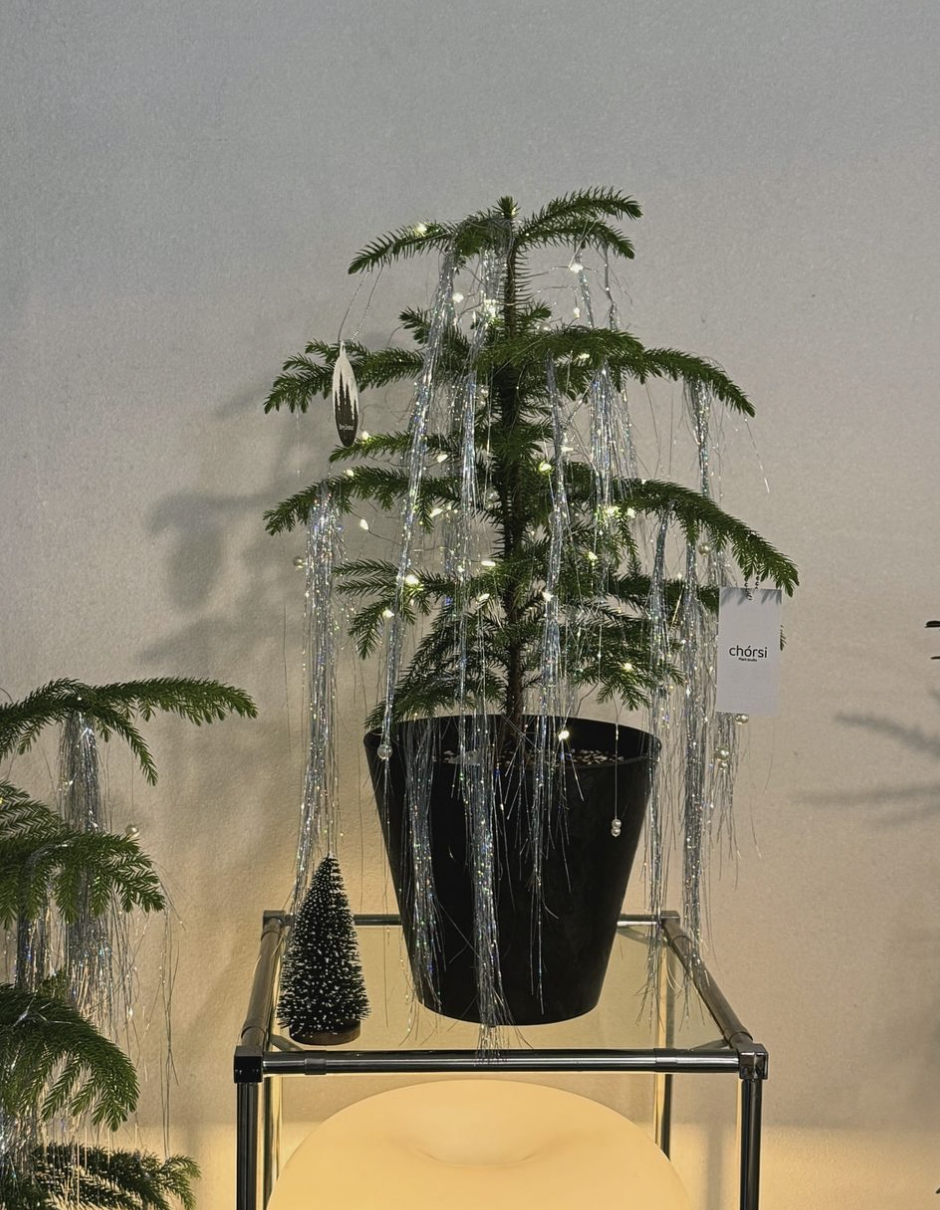 인스타그램 @chorsi__