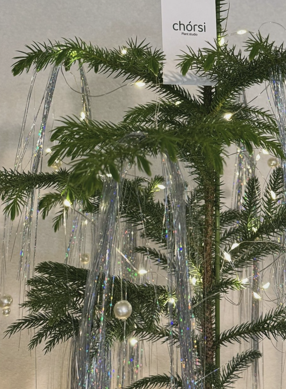 인스타그램 @chorsi__