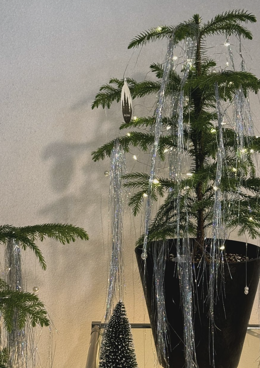 인스타그램 @chorsi__