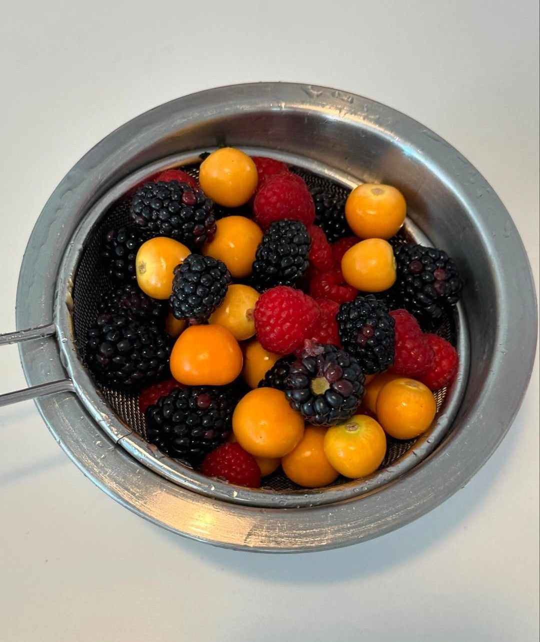 인스타그램 @marcellasne_ 