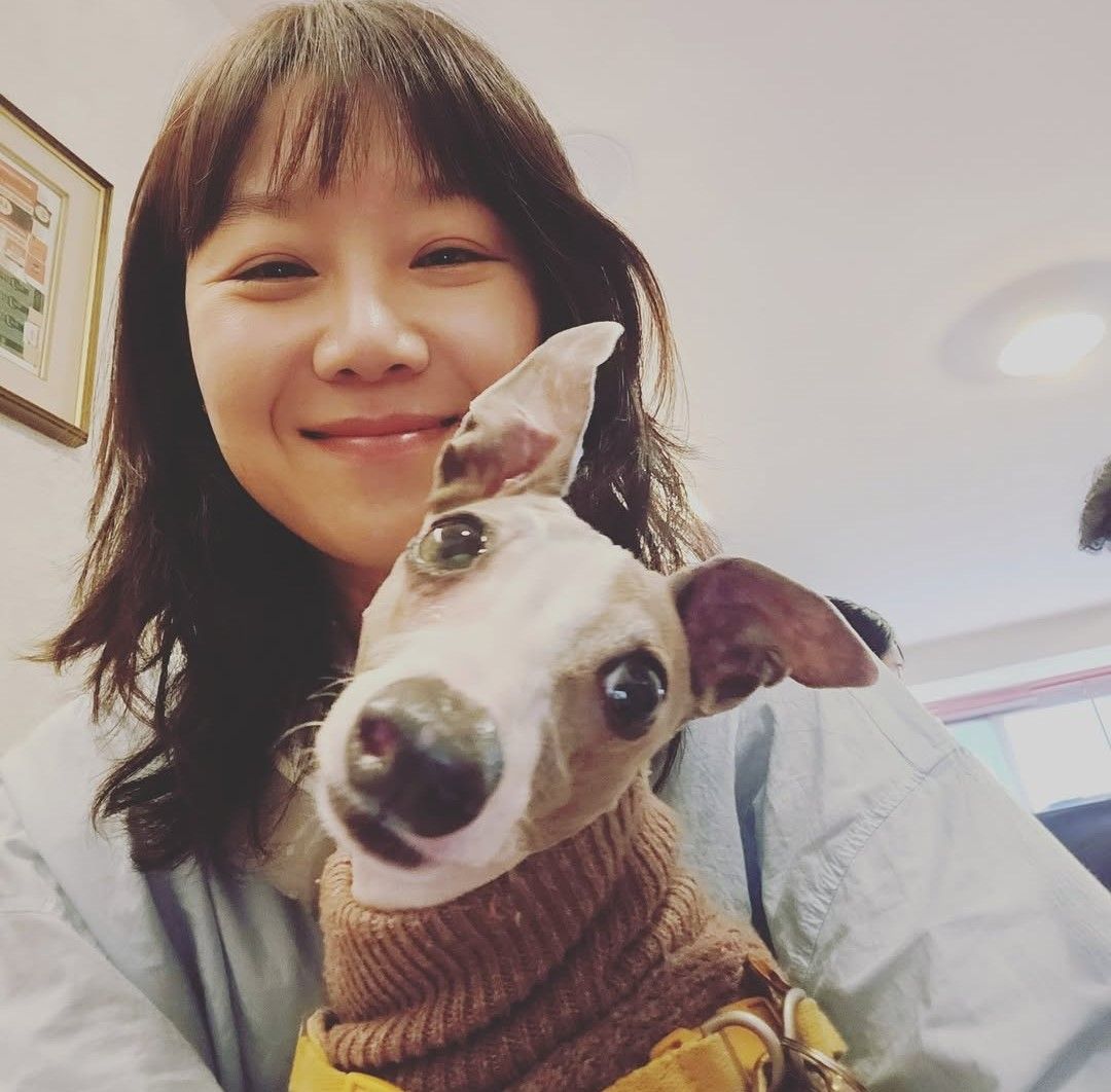 인스타그램 @rovvxhyo