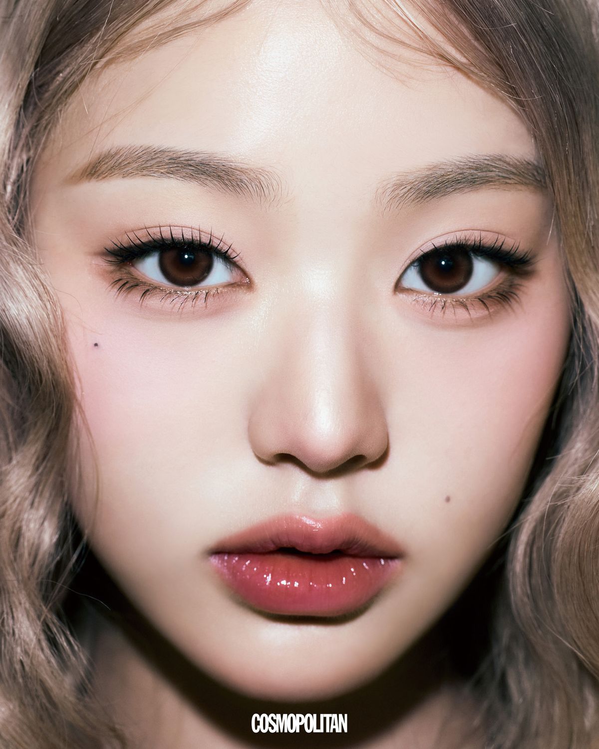 원앤온리 크리스틴 브라운 한 달용 2만5천원, 원데이 1만9천원 모두 Hapa Kristin.