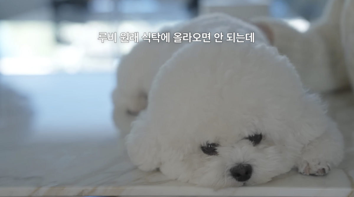 유튜브 <걍밍경>