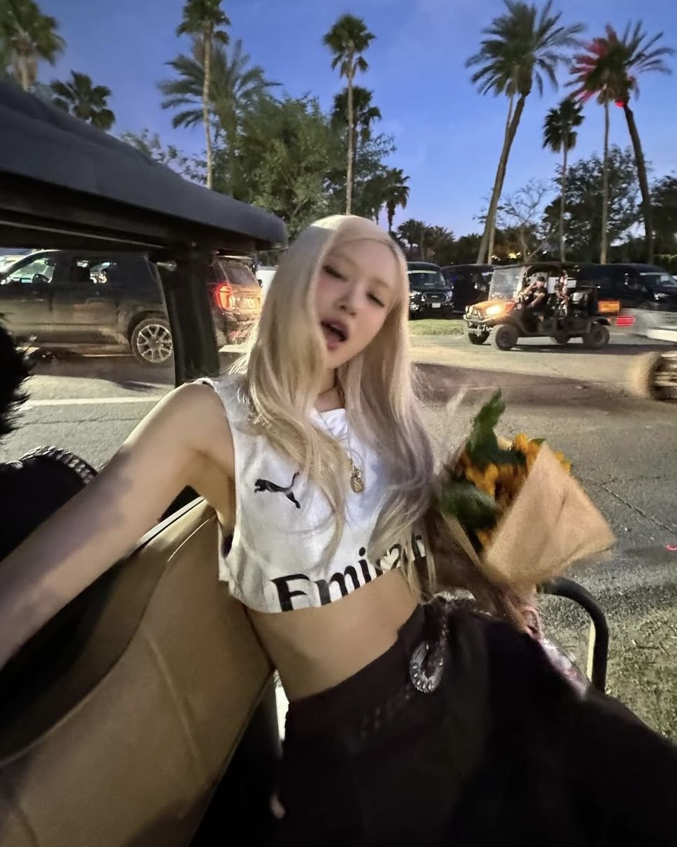 인스타그램 @roses_are_rosie