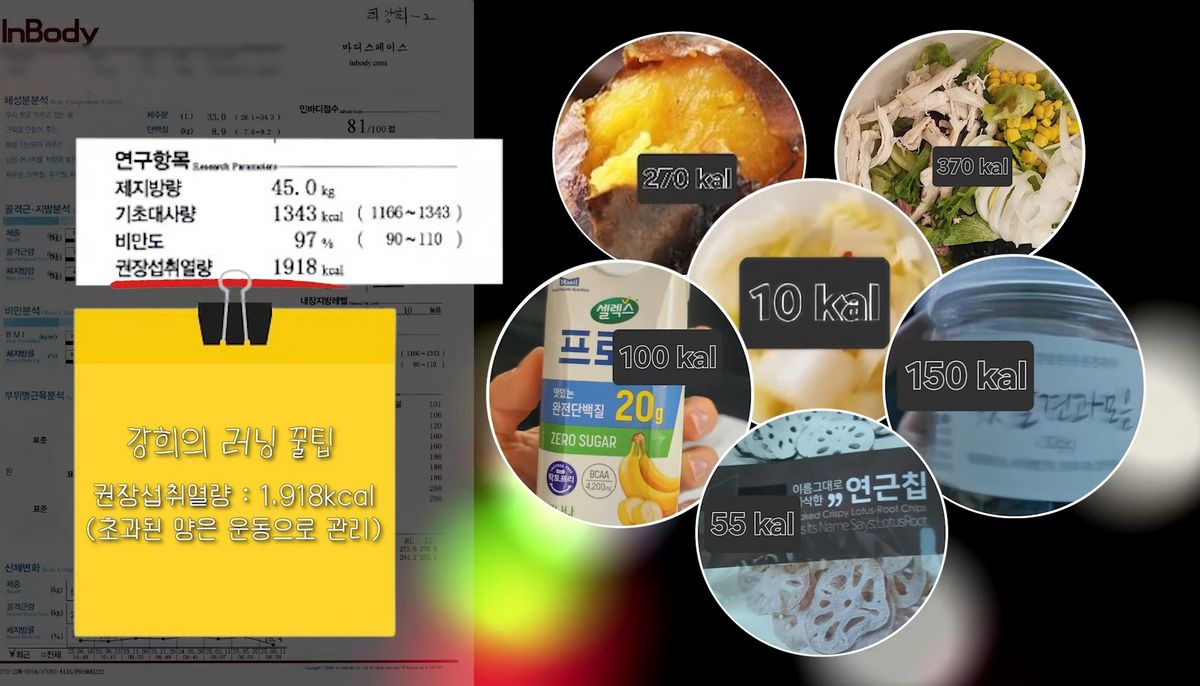 유튜브 <나도 최강희>
