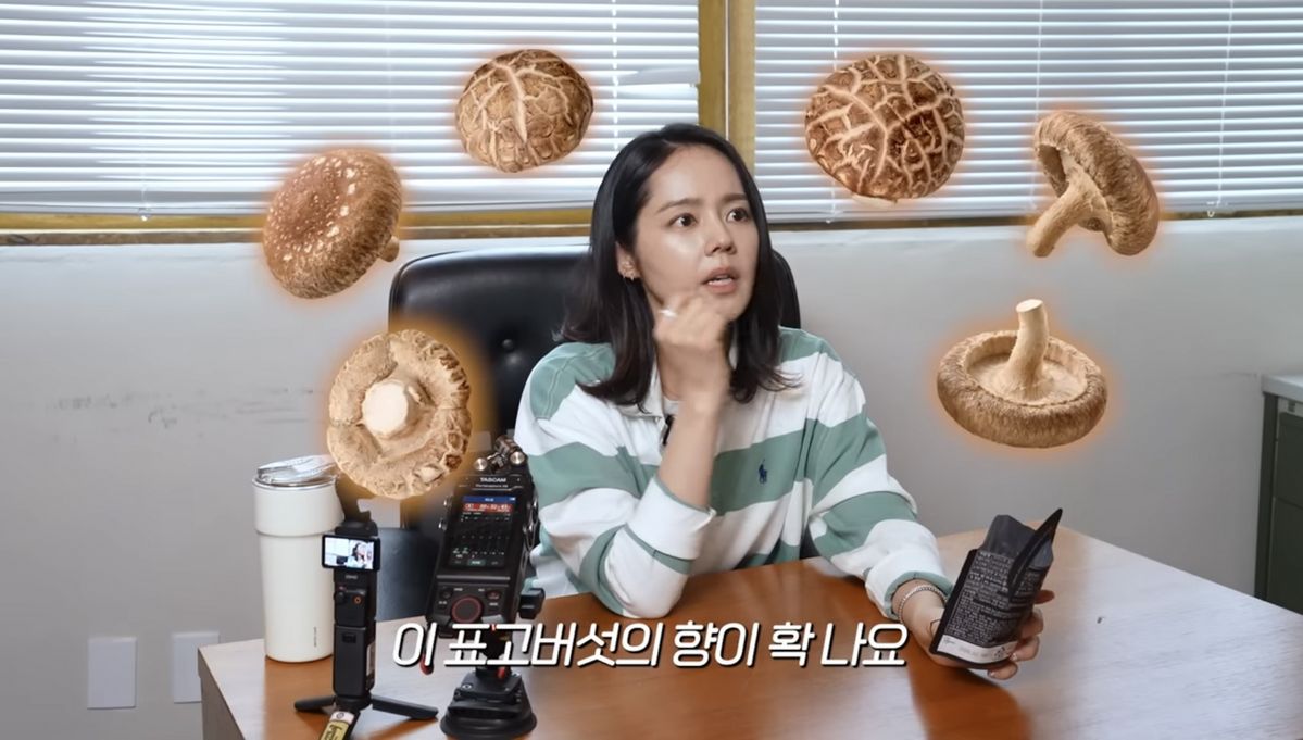 유튜브 <자유부인 한가인>