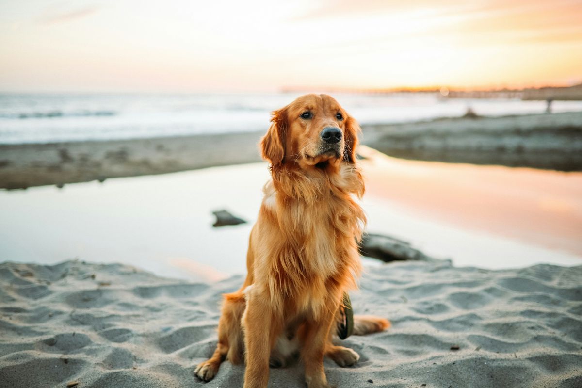 Unsplash