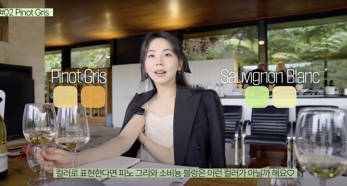 유투브 채널 <안소희>