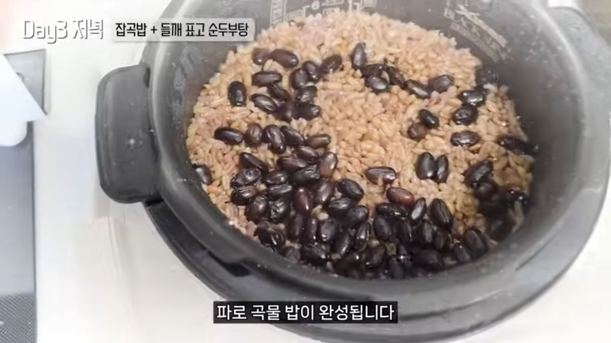 유튜브 <김강우>