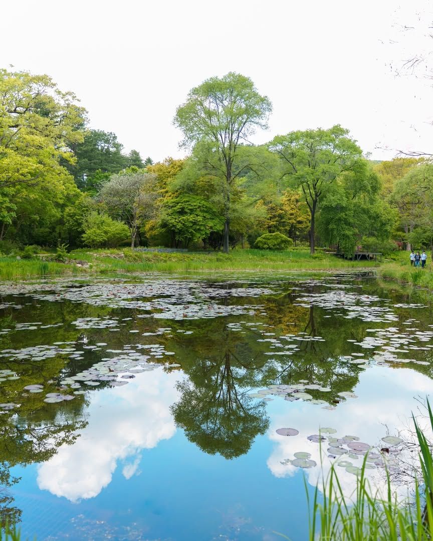 국립수목원 무료 개방 @kna_story