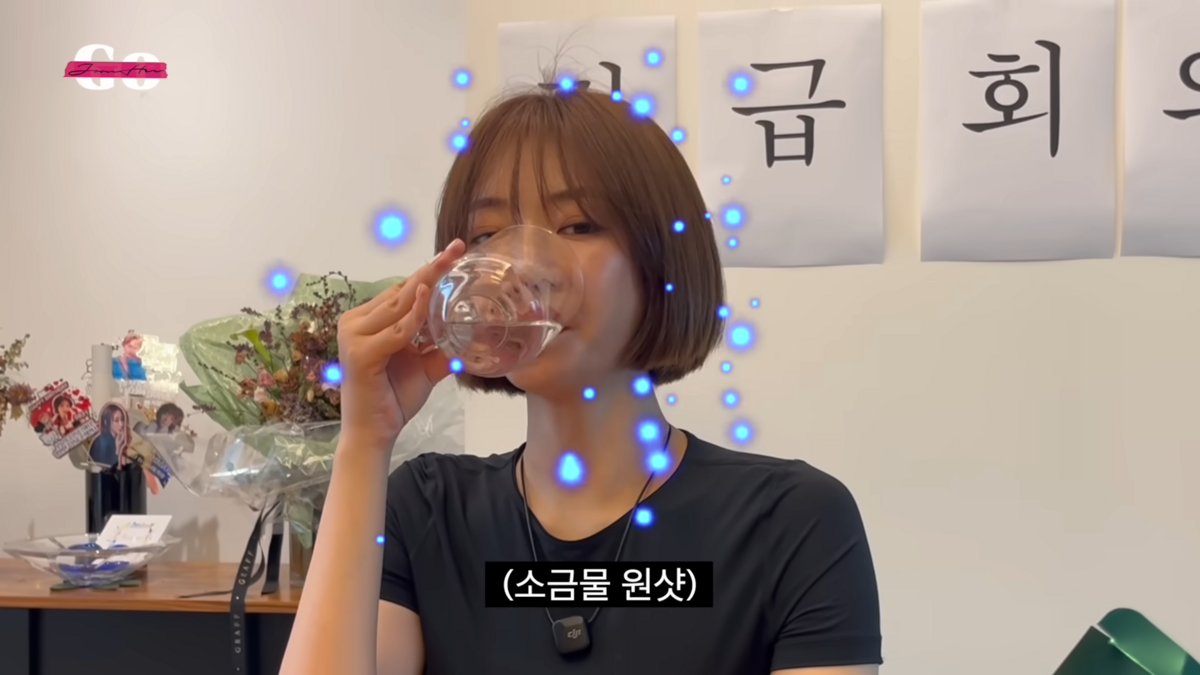 고준희 염증 완화 식단 루틴. 유튜브 고준희 GO