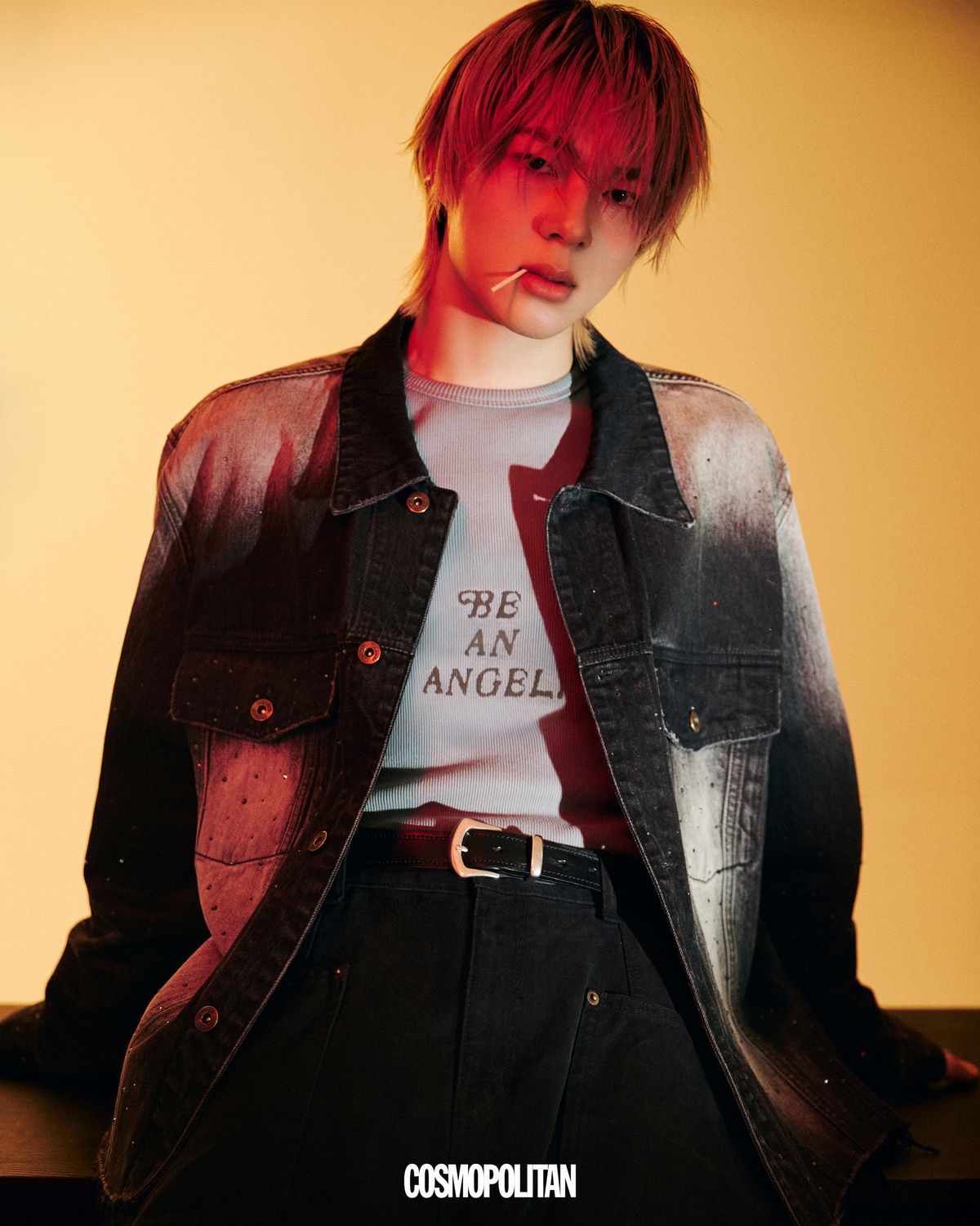 이미지 캡션 영역