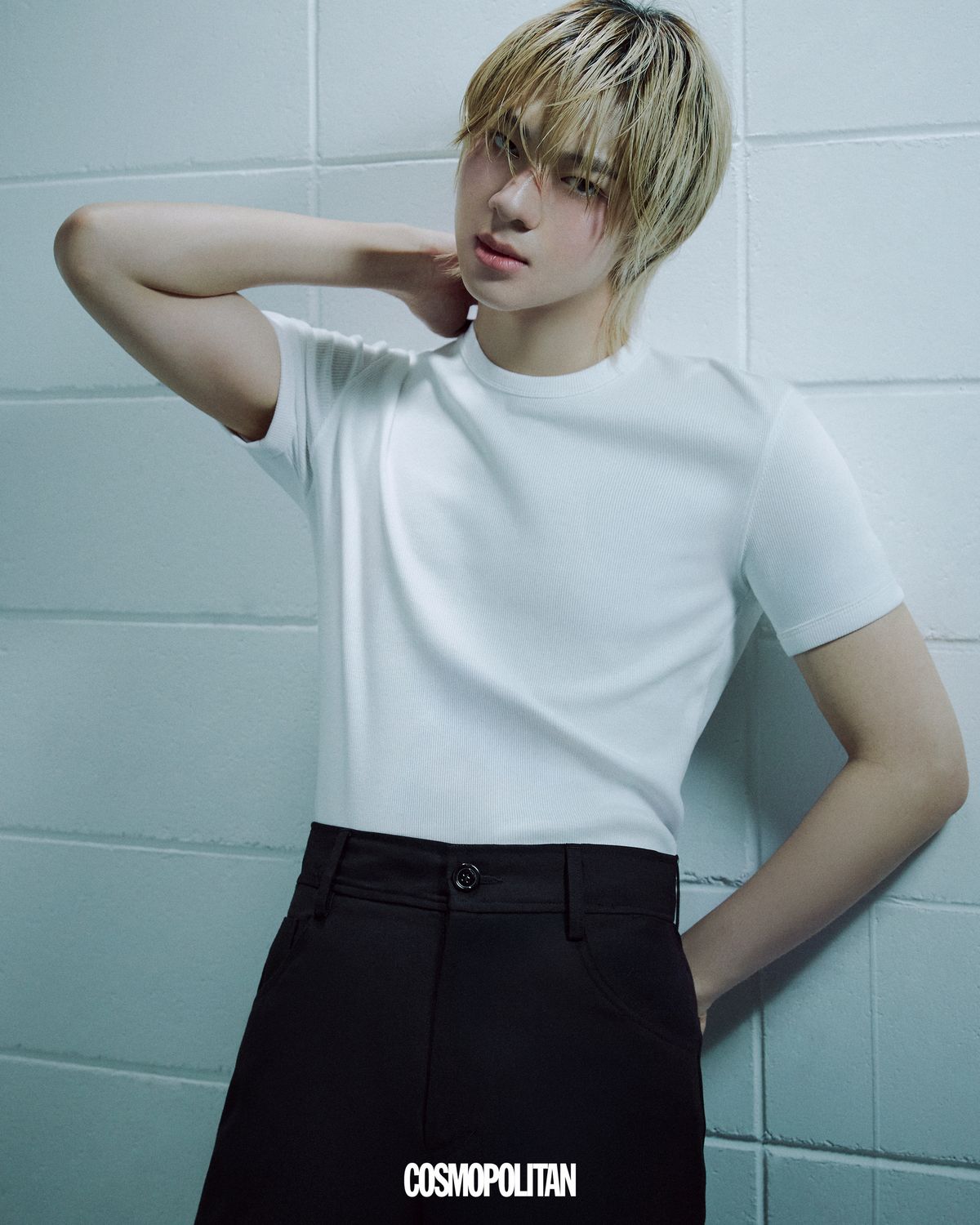 이미지 캡션 영역