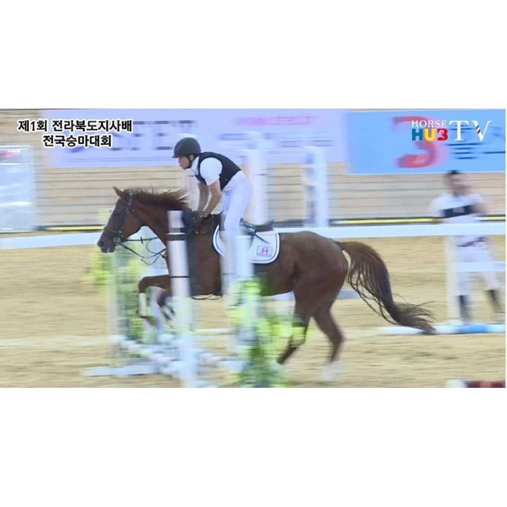 임우일 승마 | 인스타그램 @imwooil