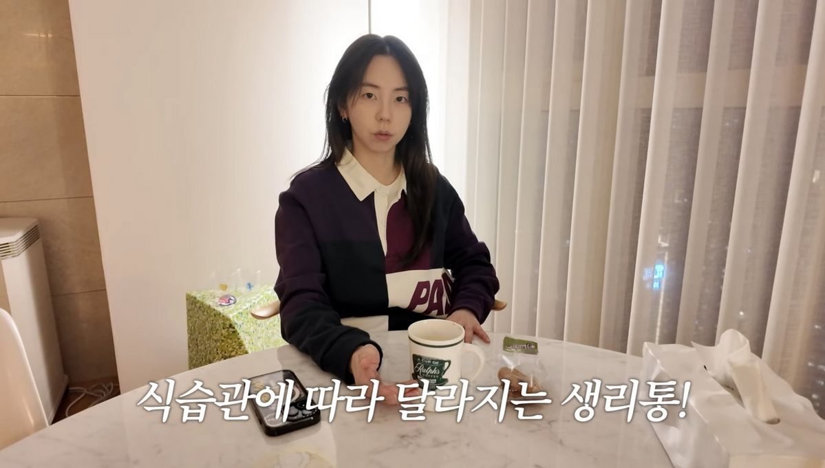 유튜브 <안소희>