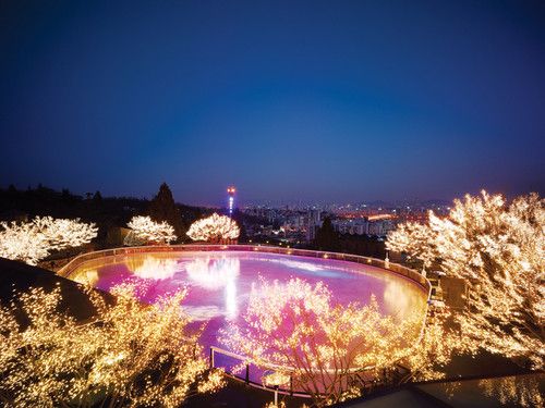 밤이 되면 더욱 빛나는 하얏트 아이스링크장. 네이버지도 업체 사진