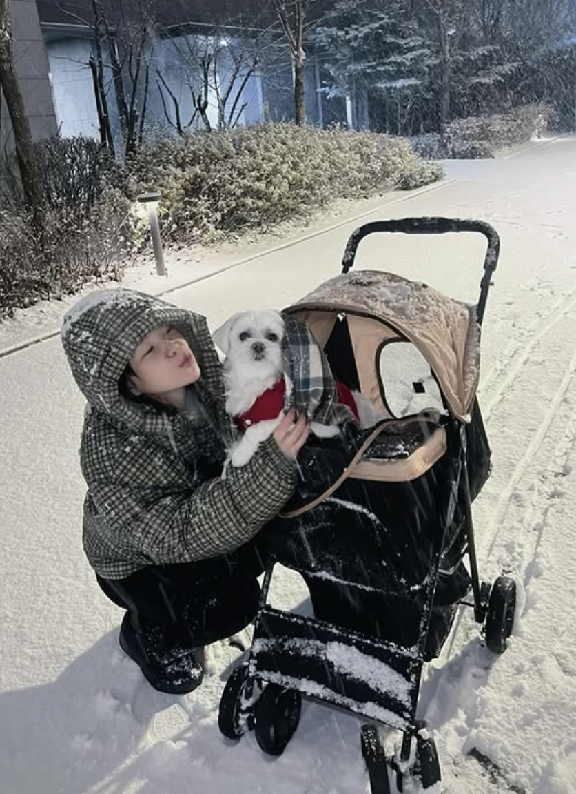 인스타그램 @yerimiese