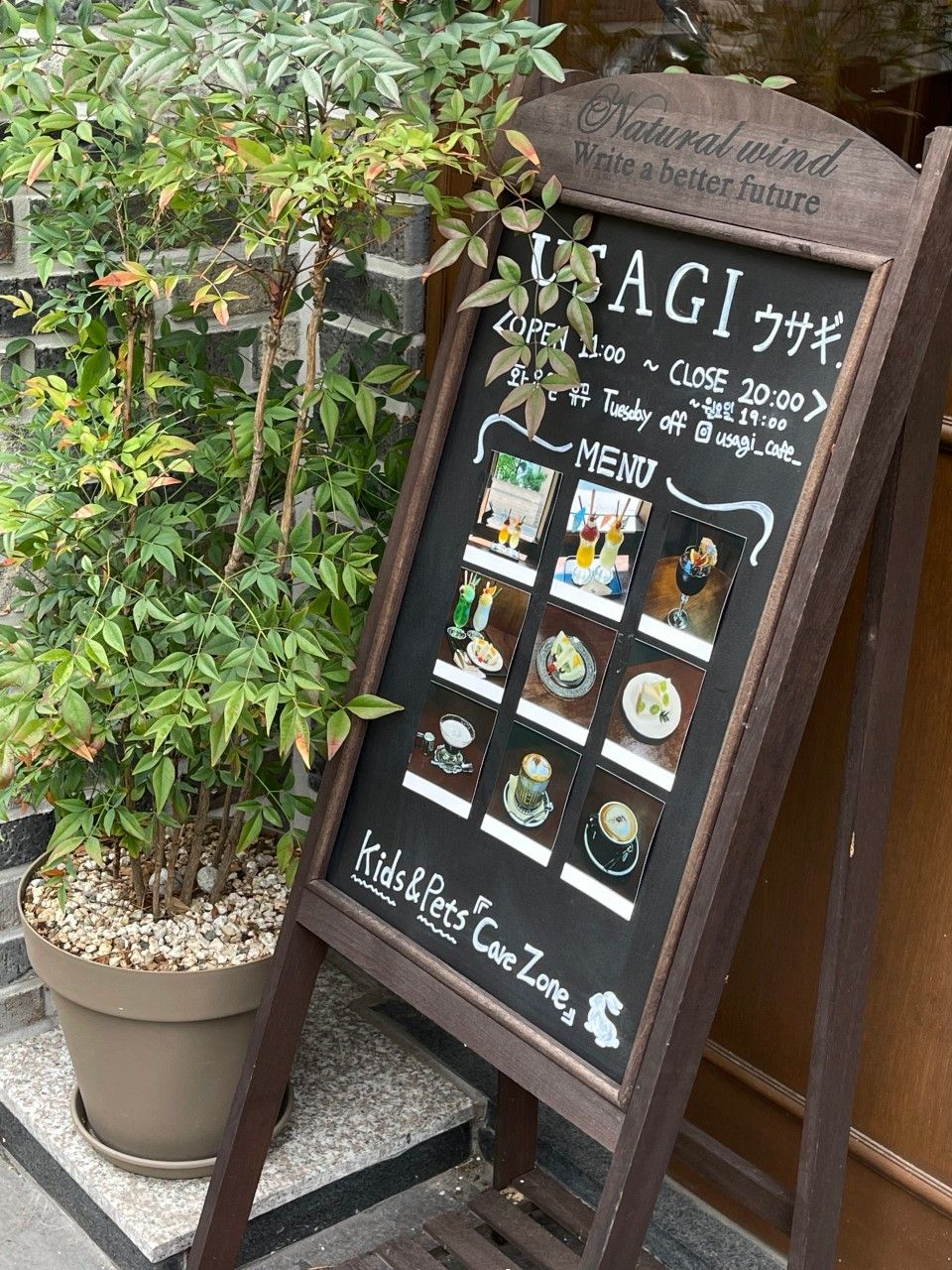 카페 우사기의 시그니처 메뉴 후르츠 산도와 고구마 크림브륄레 산도. 네이버지도 업체 등록 사진