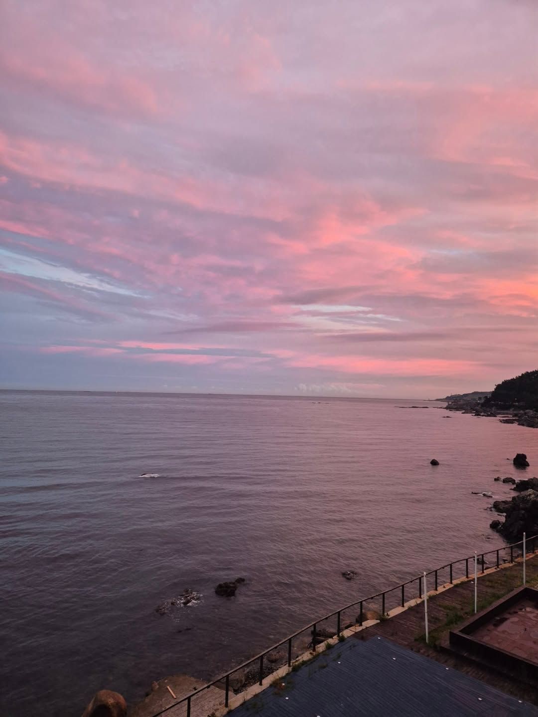 부산 기장 바다에서 떠오르는 일출을 정면에서 맞이할 수 있는 헤이든. 사진 네이버 지도 헤이든 업체 등록 사진
