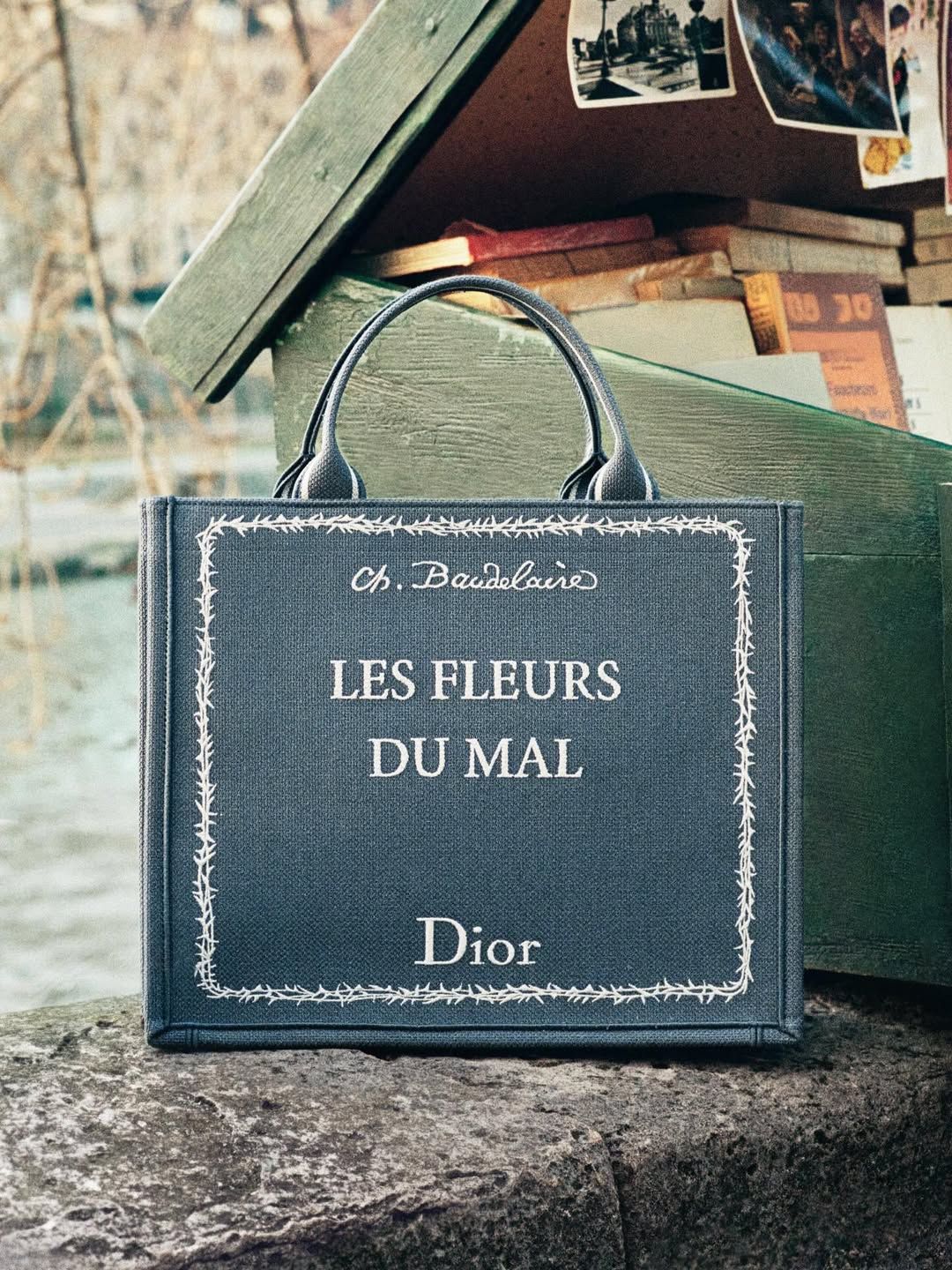 DIOR 2026 S/S BOOK TOTE | 출처 디올