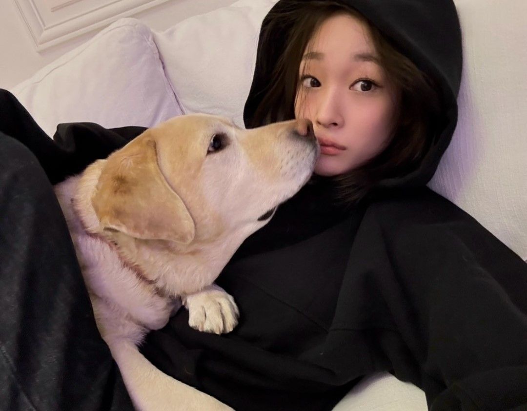 인스타그램 @anniesymoon