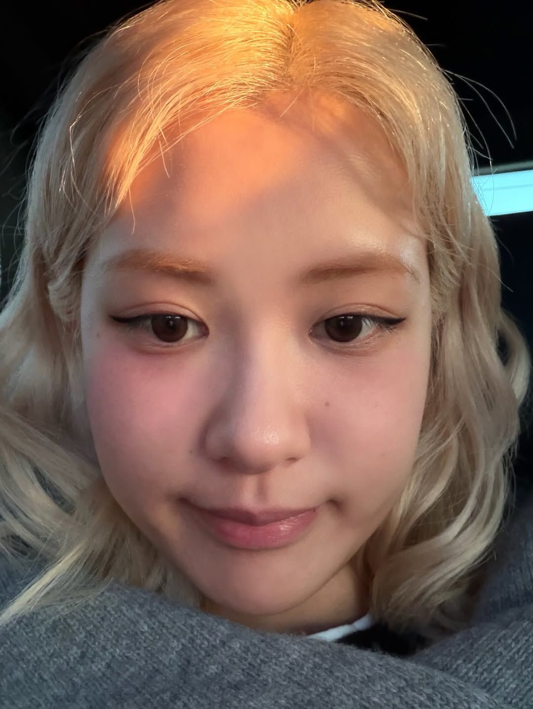 인스타그램 @roses_are_rosie