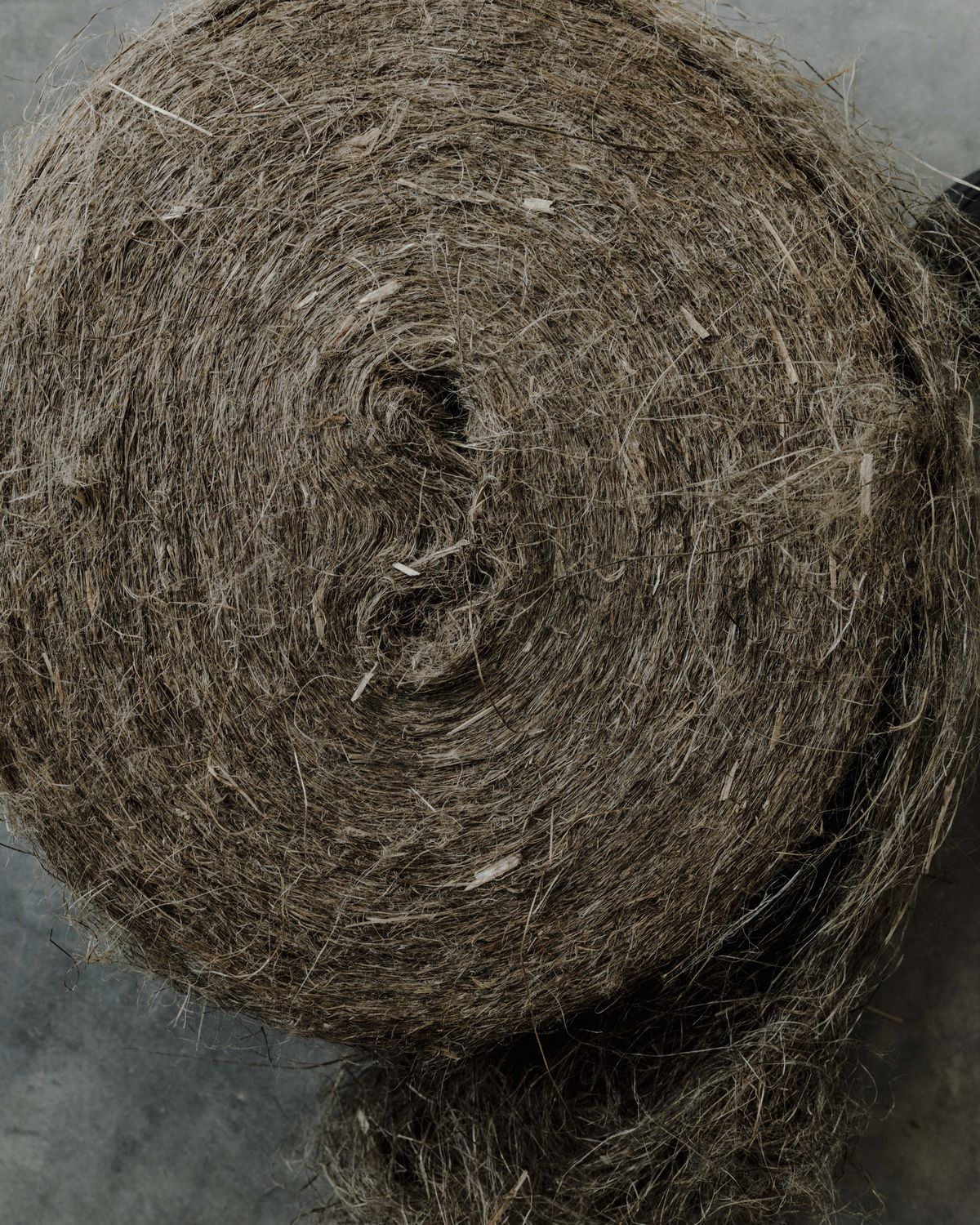 유기농 헴프 섬유| 사진 제공 베자(VEJA)