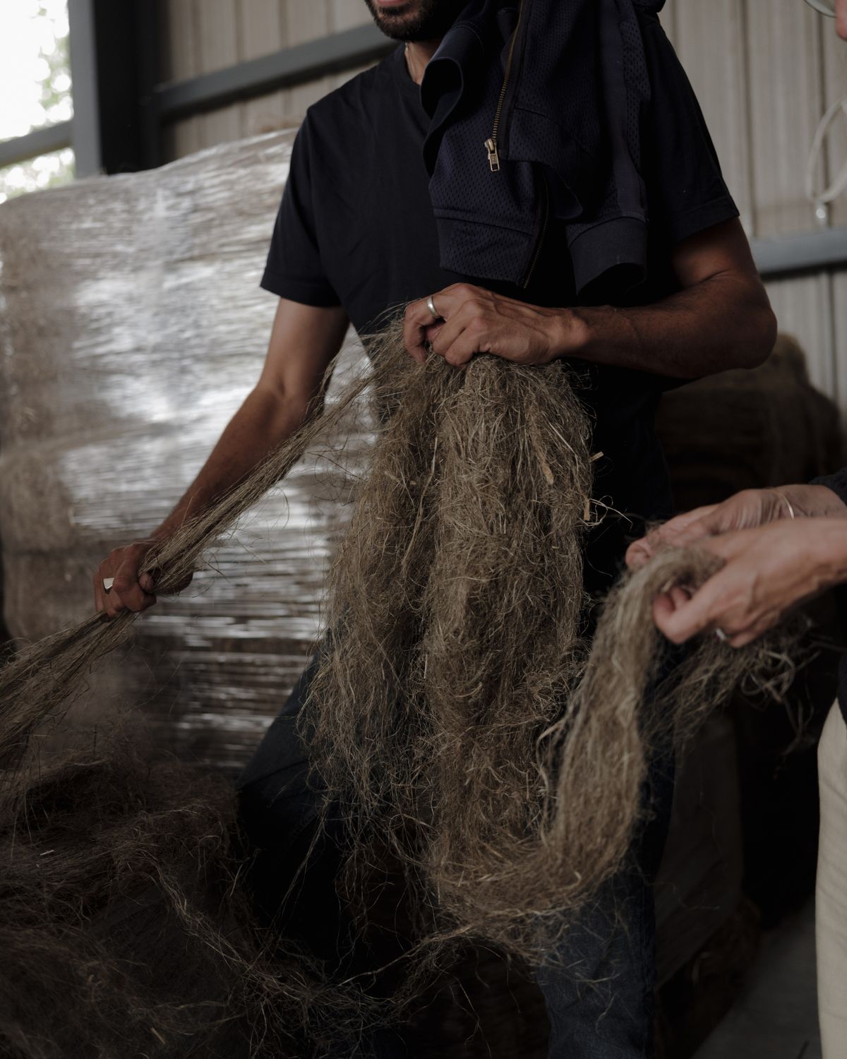 유기농 헴프 섬유 | 사진 제공 베자(VEJA)