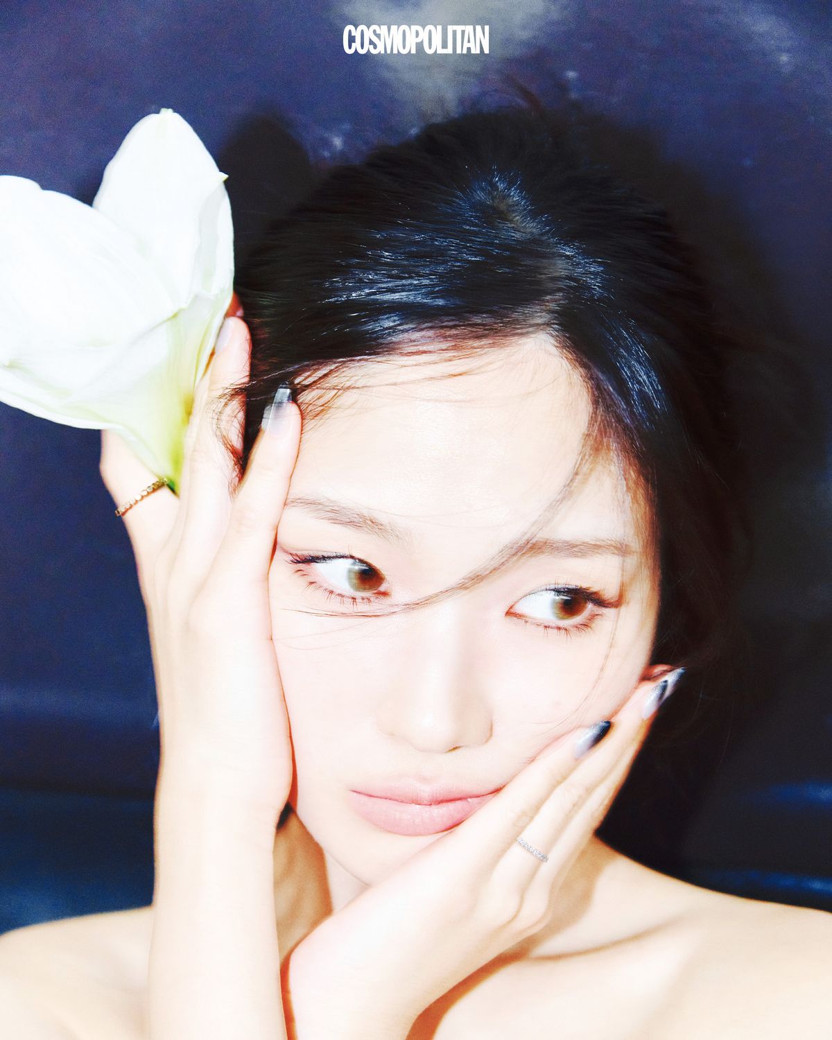 반지 에디터 소장품. 