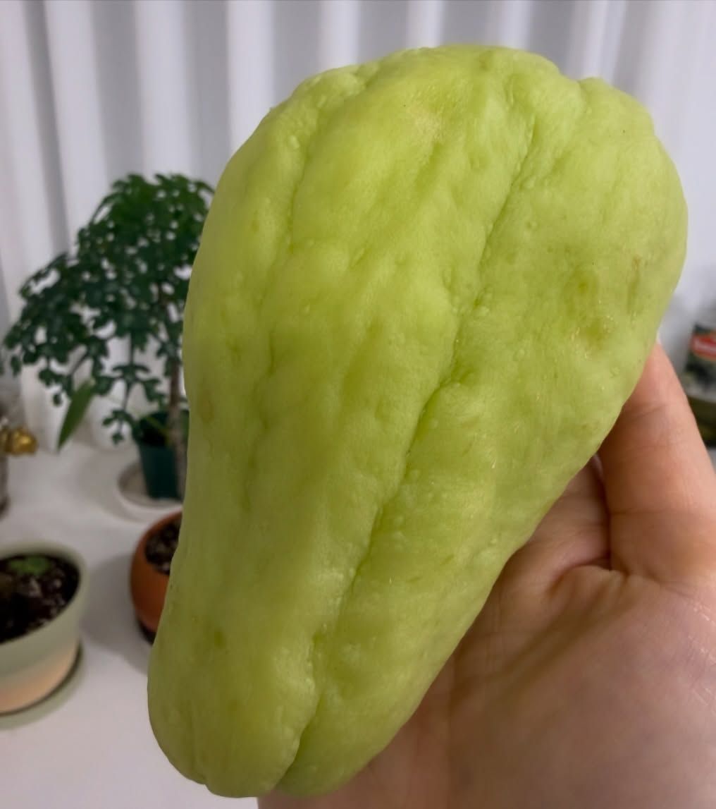 김사랑 다이어트 비법, 차요테 | 인스타그램 @sarangkim.love