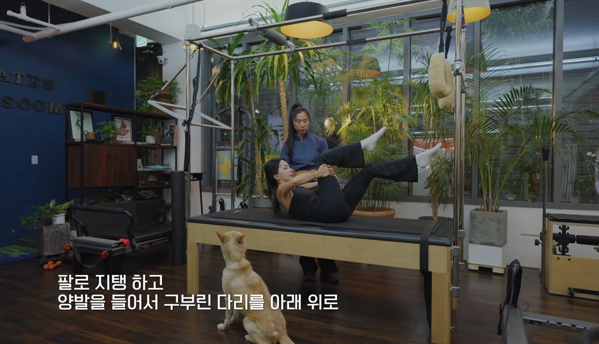 유튜브 <Umaizing 엄정화TV>